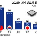 美성화에도…글로벌 반도체 기업, 中 포기 못하는 이유 이미지