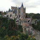 돼지전