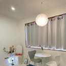 하이제인 이미지