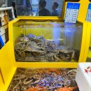 동원대게수산식당 이미지