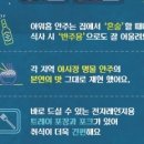 불닭발야시장