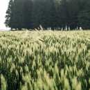 남여수현대서비스주식회사 이미지