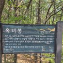 제1136회 5670아름다운 동행(05월31일요산행)청계산 공지 이미지