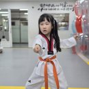 모화태권도장 이미지