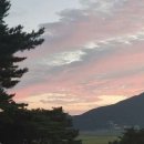 강화도아침숲속캠핑장 이미지