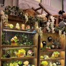 도토리몰 이미지