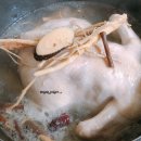 이지밴 이미지