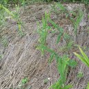 가야농원 이미지