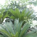 양승열농장 이미지