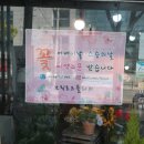 브릭로즈플라워