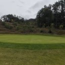 모나크cc 이미지