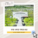 자연장지 이미지