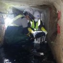 마장축산물시장 이미지