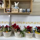 그린인테리어 홈가드닝 이미지