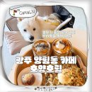수청포근동물병원 | 광주 양림동 디저트 카페 반려동물 동반 호양호림 주차장 개성주악