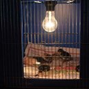 연두농장 이미지