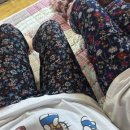 대성상회 이미지