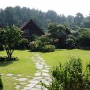 로그밸리 이미지