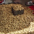 영천장날 이미지