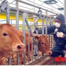 강원양돈축산업협동조합동물병원 이미지