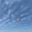 등대여인숙 이미지