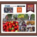 서형석농장 이미지