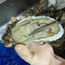 복만수산