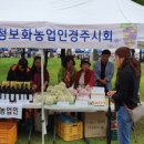 경주벼룩시장