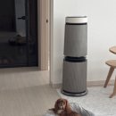 잘다녀오시개 이미지