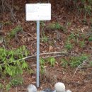 장전천2 이미지