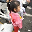 계명대월드태권도 | 2025 칠곡 나들이 축제, 문화거리 페스타 '왜관시장'