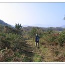 상은농장 이미지