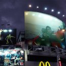 공현진항 이미지