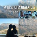 더엠브로시아 | 고성 델피노 카페 더엠브로시아 오픈런 자리추천 후기