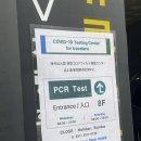 케이제이코 이미지