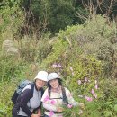 둘레길관광농원 이미지