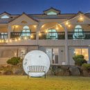 평생 사랑해 줄 개 애견펜션1 이미지