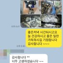 황금카센타 이미지