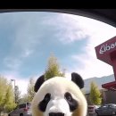 스노우가든 이미지