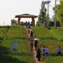 흥부네쉼터 이미지