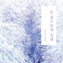 눈숲