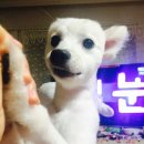 현동물병원 이미지