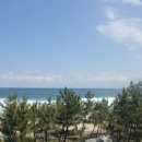 힐링비어존 이미지