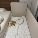 아나바 - 성남시 분당구 대왕판교로606번길 58 | 키디몽드| 아나바 맞춤 제작 구매 후기