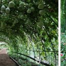 하동레일파크 이미지