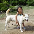 채력 달련 이미지