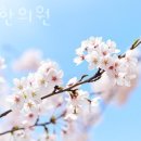 송제한의원 | 영등포구 대림동 한의원 송제한의원 진료시간 접근성 이용후기