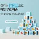 31 이미지