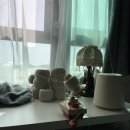 성일사세탁 이미지