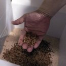 먹방농장1 이미지